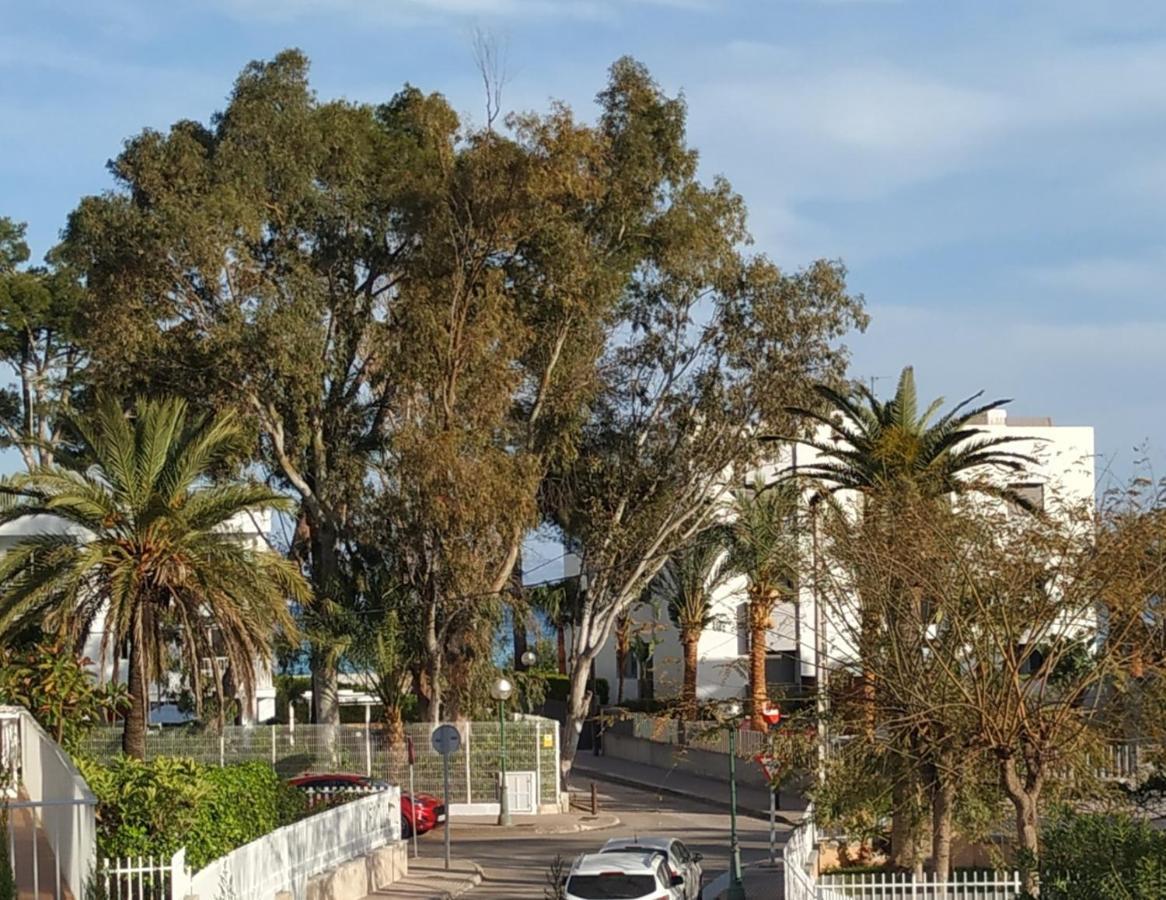Casa Tritons Villa Port de Alcudia  Kültér fotó